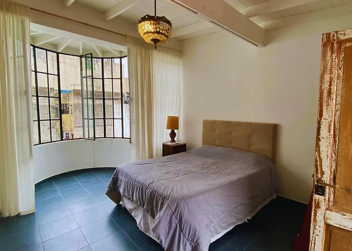 La Casa del Loro, San Telmo - 8 habitaciones Ciudad Autónoma de Ciudad Autónoma de Buenos Aires